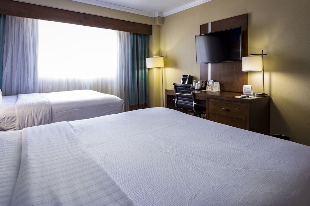 Suite, 2 Double Beds