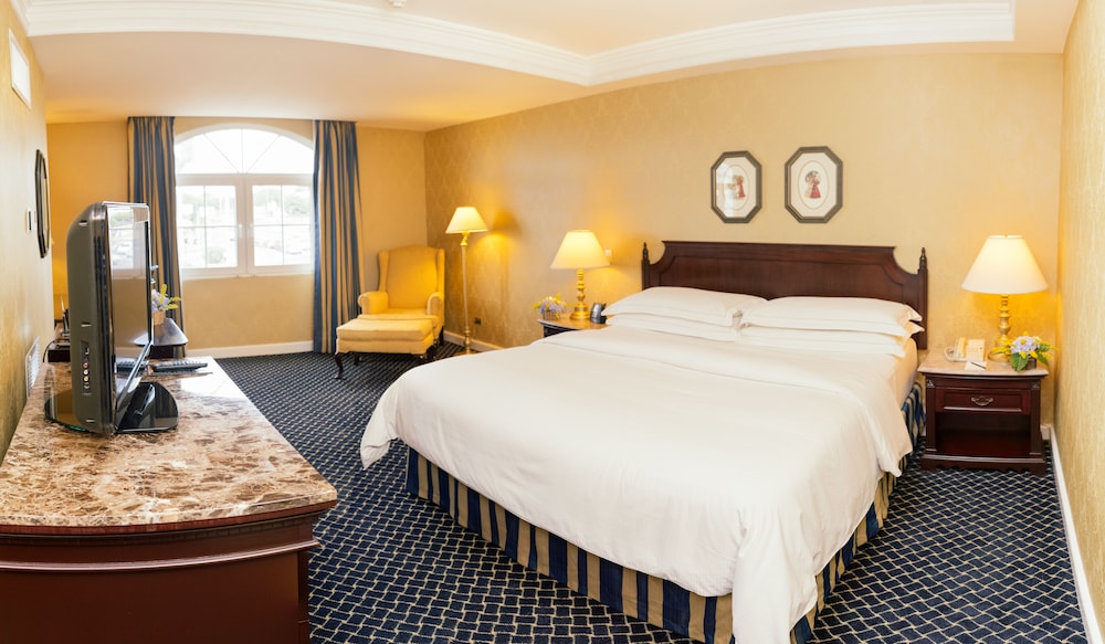 Room, 1 King Bed, Accessible - Photo 5