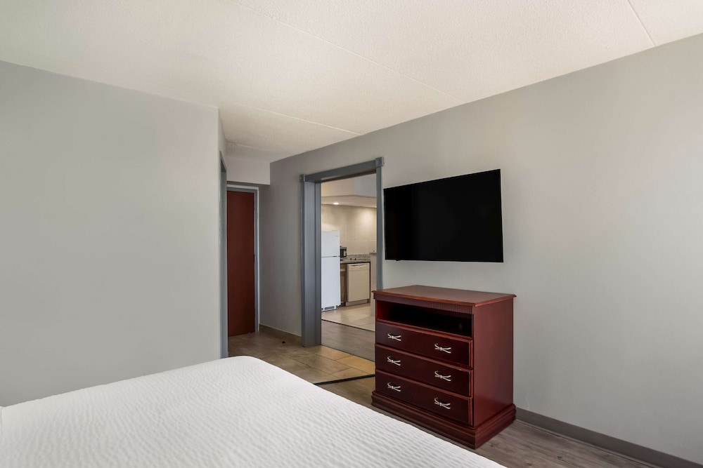 Suite, 1 King Bed with Sofa bed, Non Smoking (Efficiency) - Photo 10