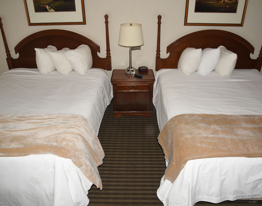 Room, 2 Queen Beds, Non Smoking (No Pets Allowed) photo 1