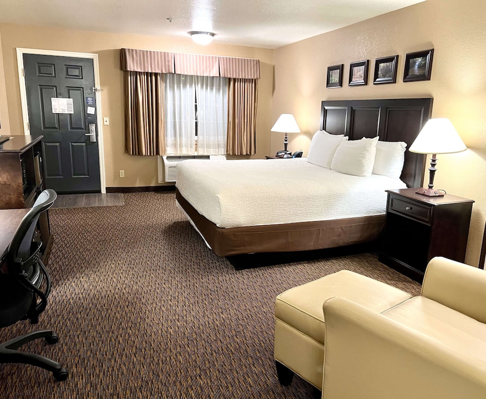 Standard Room, 1 King Bed, Non Smoking, Refrigerator & Microwave (Larger Room) photo 2