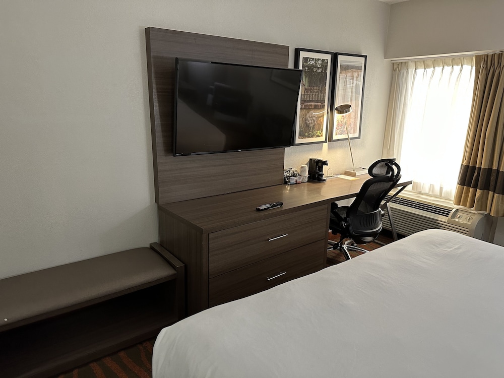 Room, 1 King Bed, Accessible, Non Smoking - Photo 1