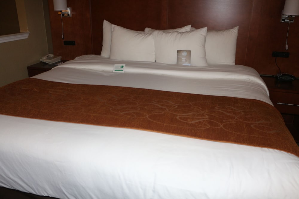 Suite, 1 King Bed with Sofa bed, Accessible, Non Smoking - Photo 1