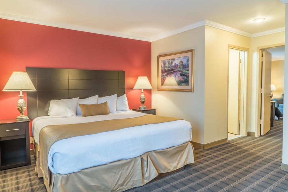 Standard Room, 1 King Bed, Non Smoking, Jetted Tub photo 1