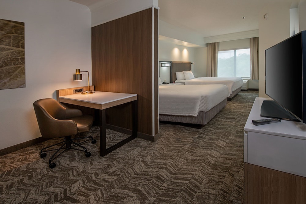 Suite, Multiple Beds - Photo 1