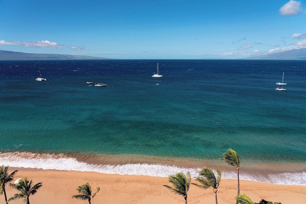 Club Room, 1 King Bed, Club Lounge Access, Oceanfront (hokupa'a Tower)