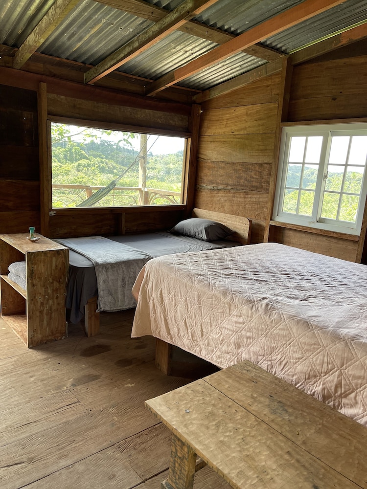 Panoramic Cabin photo 1