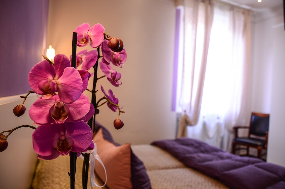 Double or Twin Room photo 3