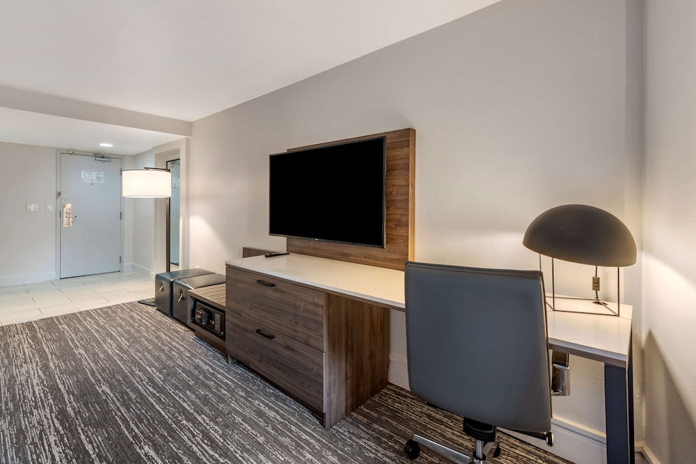 Standard Room, 1 King Bed, Accessible, Patio (Walk-in Shower) - Photo 6