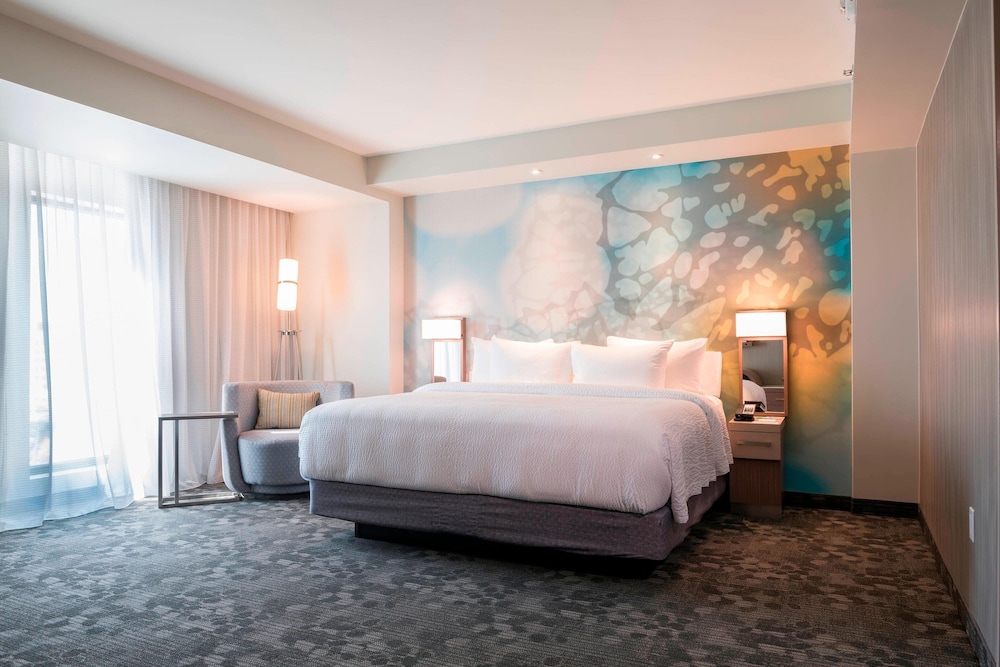Room, 1 King Bed