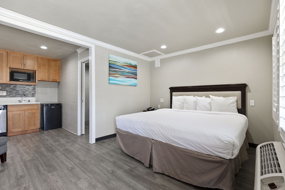 Deluxe Studio, 1 King Bed, Non Smoking, Kitchenette photo 1