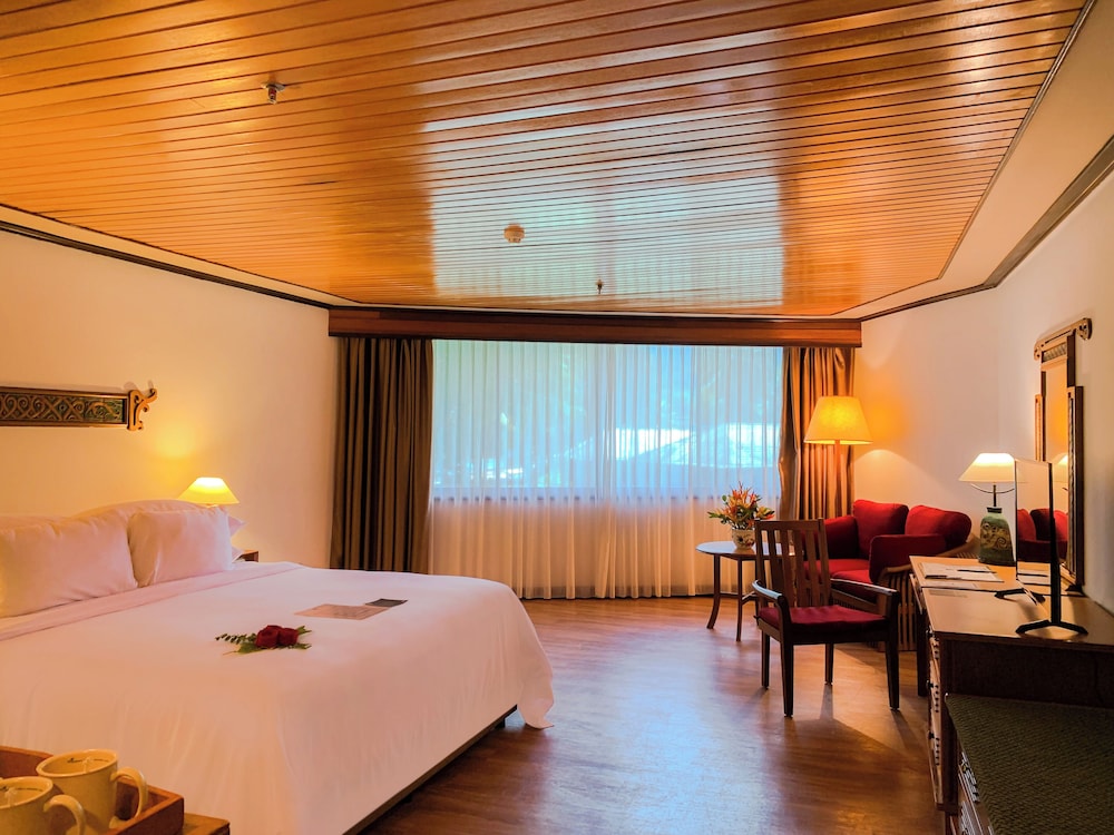 Superior Double Room photo 1