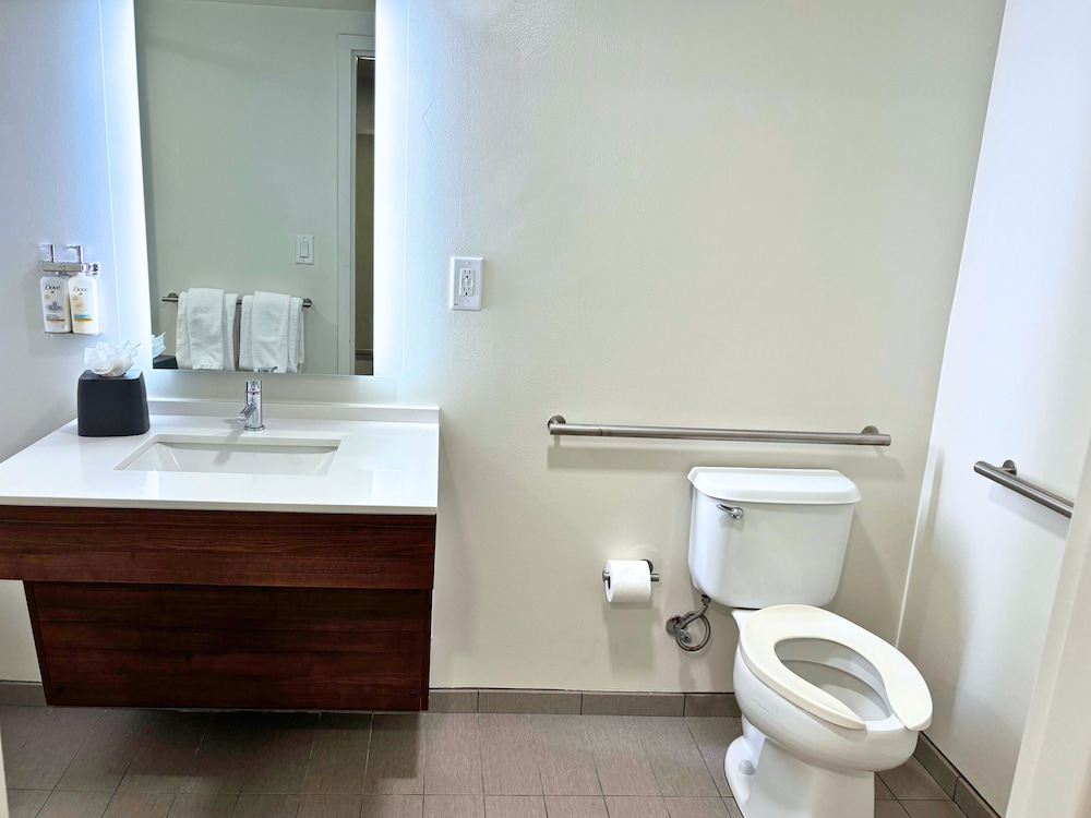 Standard Room, 1 King Bed, Accessible (Mobility, Roll-In Shower) photo 2