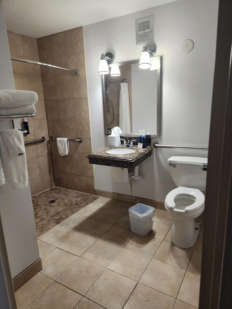 Room, 1 King Bed (Mobility/Hearing Access, Roll-in Shwr) - Photo 3