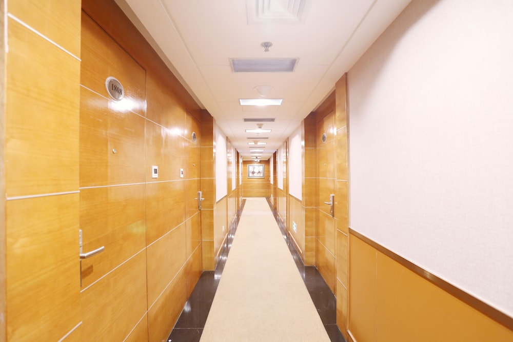 Elegant Single Room photo 3
