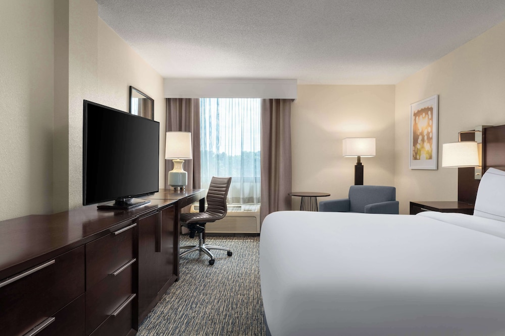 Suite, 1 King Bed with Sofa bed