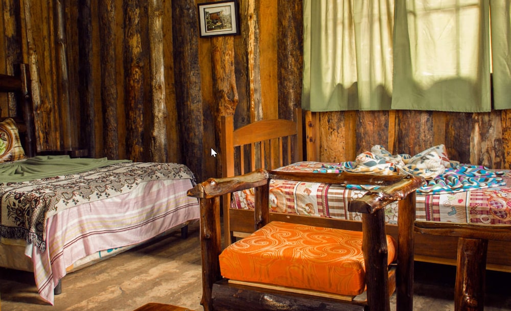 Family Cabin photo 1