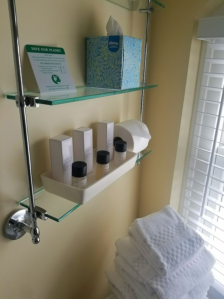 Deluxe Room, 1 King Bed, Ocean View - Photo 4