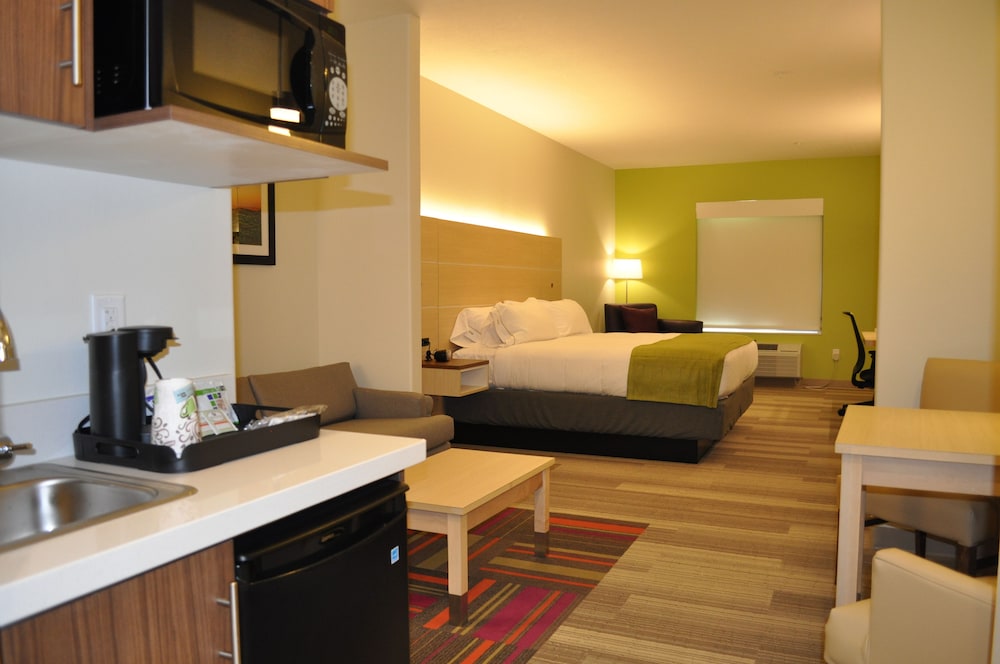 Suite, 1 King Bed photo 3