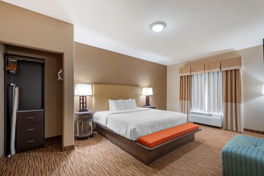 Suite, 1 King Bed, Non Smoking, Refrigerator & Microwave (Living Room;with Sofabed) - Photo 2