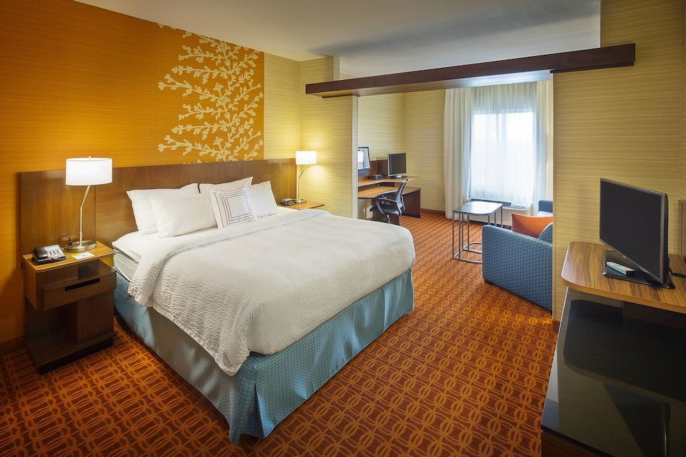 Executive Suite, 1 King Bed with Sofa bed photo 1