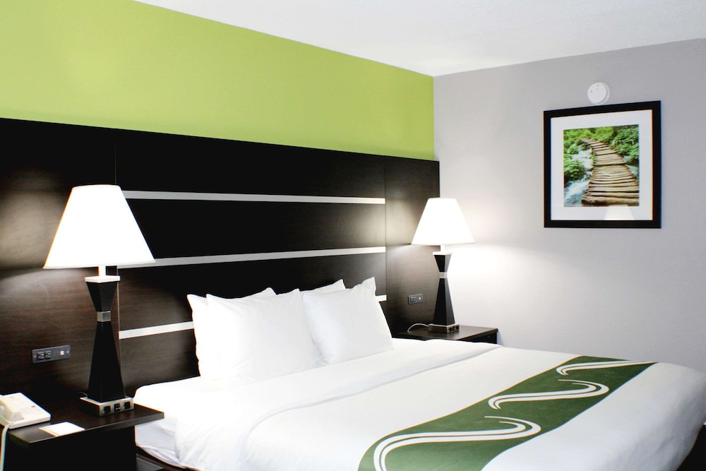 Studio Suite, 1 King Bed with Sofa bed photo 3