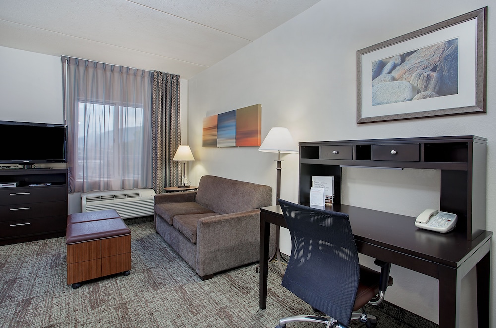 Studio Suite, 1 Queen Bed with Sofa bed, Kitchen photo 3