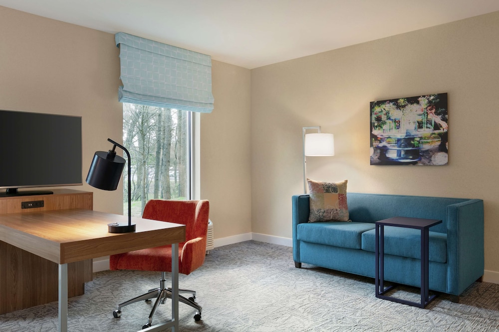 Room, 1 King Bed, Accessible (Mobility & Hearing) photo 3