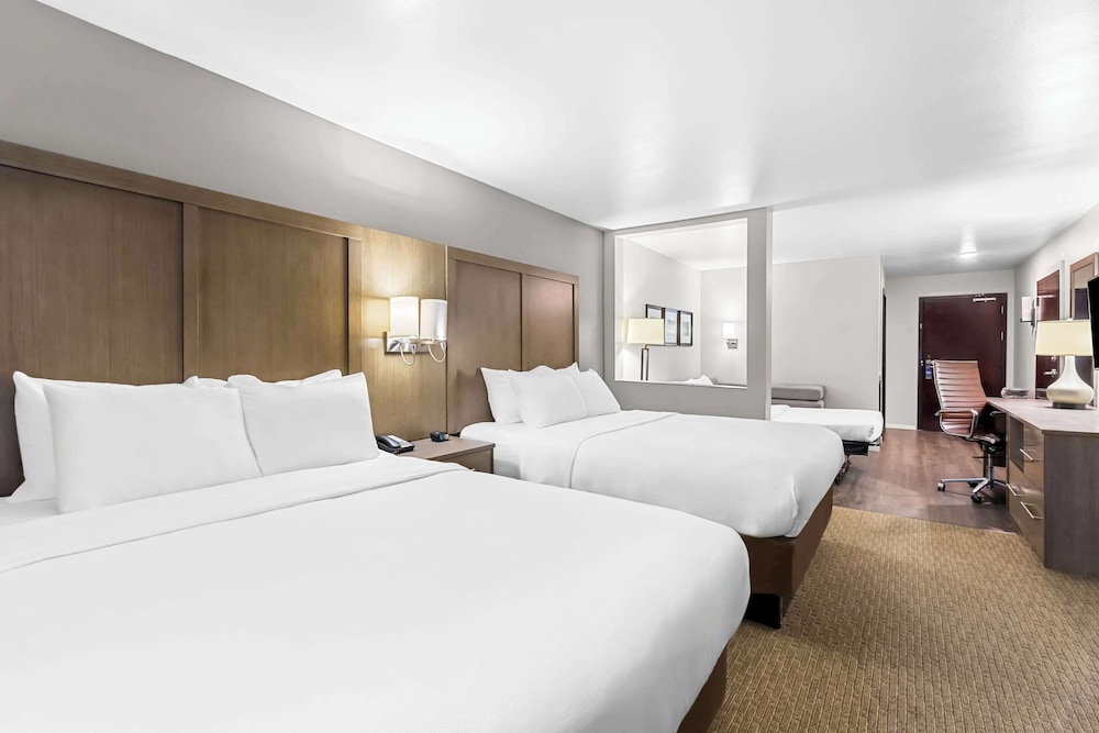 Suite, 1 King Bed with Sofa bed, Non Smoking photo 3