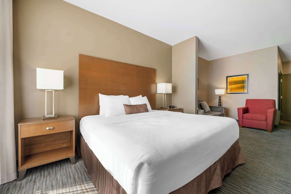 Suite, 1 King Bed, Accessible, Refrigerator & Microwave (with Sofabed) - Photo 3