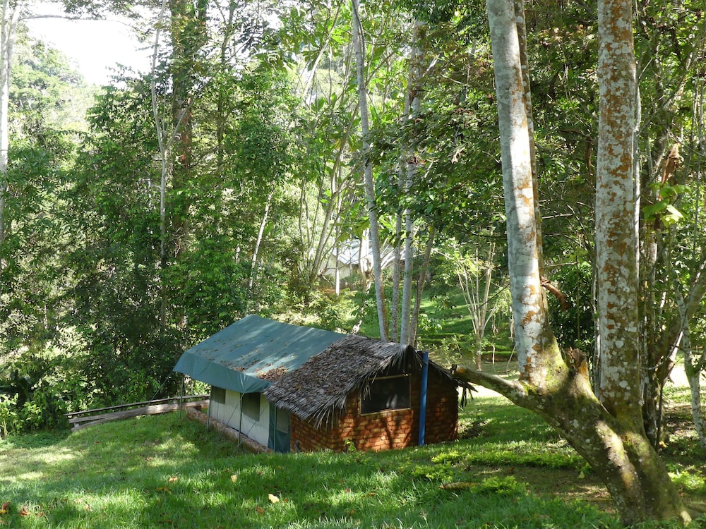 Comfort Tent, 1 Bedroom, Non Smoking, Garden View photo 3