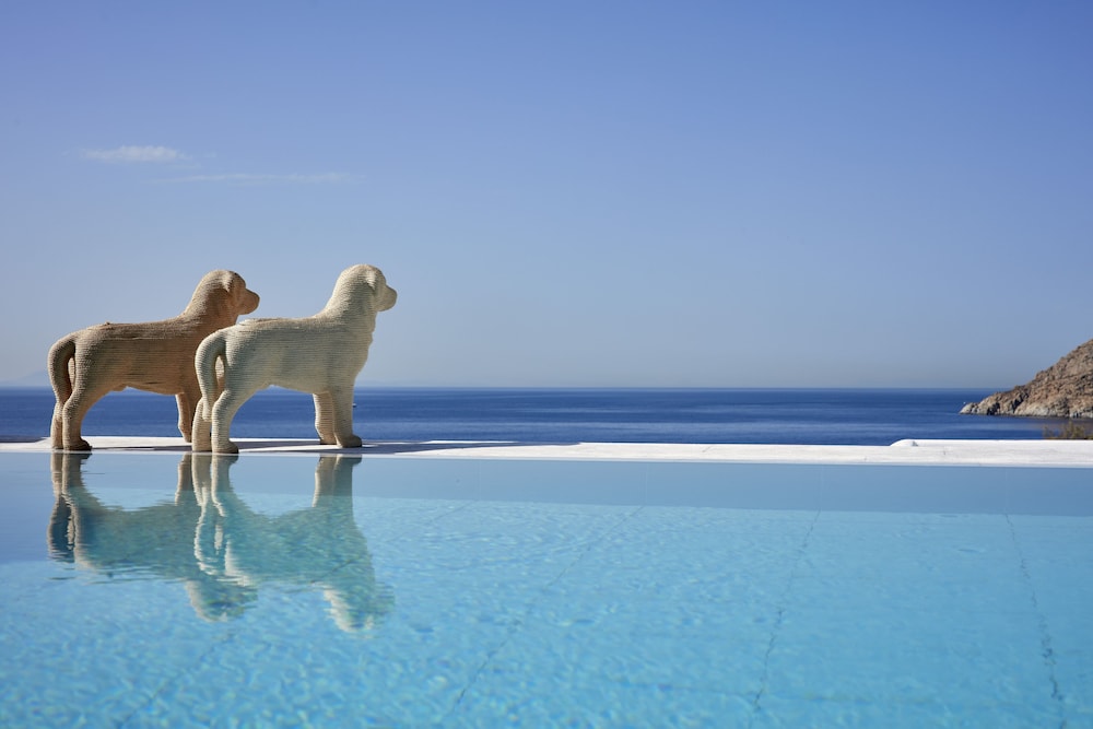 Executive Suite, Private Pool - Photo 8