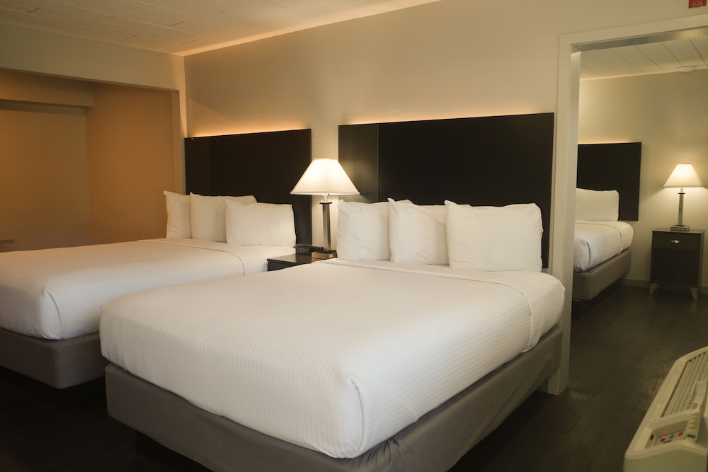 King Queen Queen Pet Friendly Suite