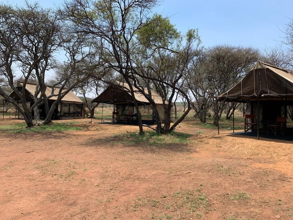 Little Zebra Camp Site photo 3