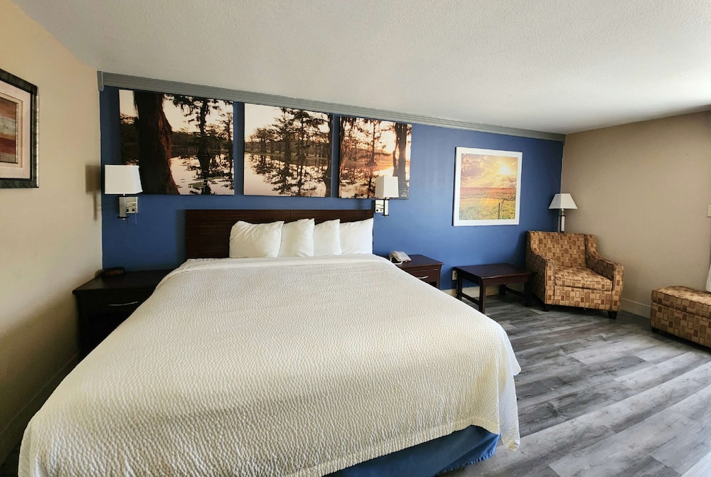 Room, 1 King Bed, Non Smoking - Photo 8