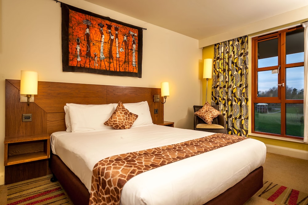 Safari Double room with bunk beds