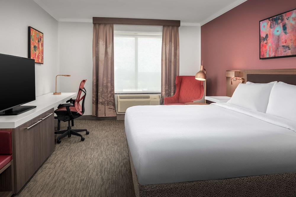 King 1 Bedroom Deluxe Suite photo 1