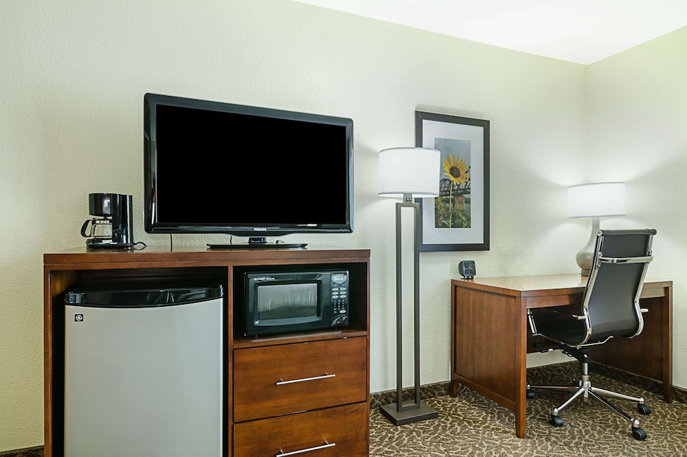 Suite, 1 King Bed with Sofa bed, Non Smoking photo 3