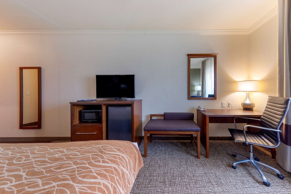 Room, 1 King Bed, Accessible, Non Smoking photo 1