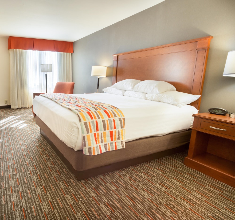 Suite, 1 King Bed with Sofa bed, Refrigerator & Microwave (2 Rooms)