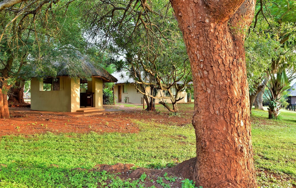Basic Chalet, 1 Bedroom photo 1