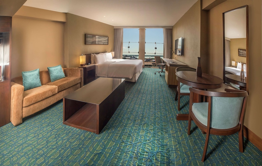 Deluxe Suite, 1 King Bed photo 1