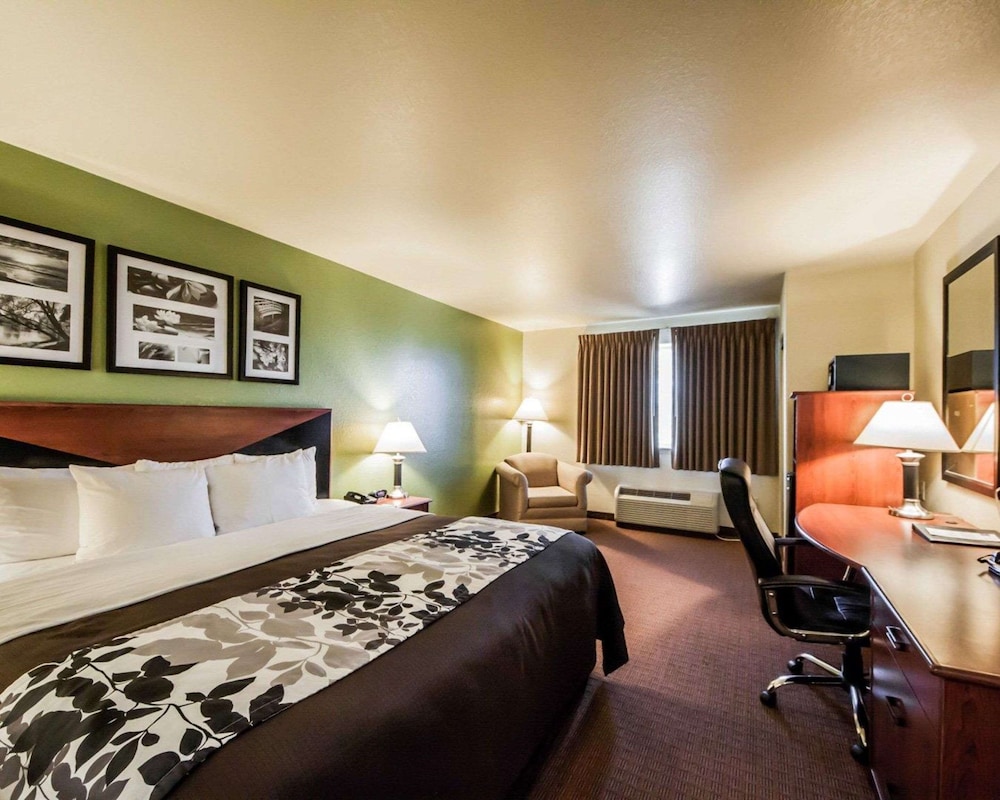 Standard Room, 1 King Bed, Non Smoking - Photo 7