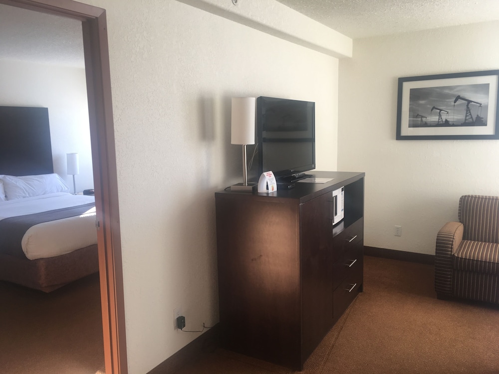 Business Suite, 1 Queen Bed photo 3