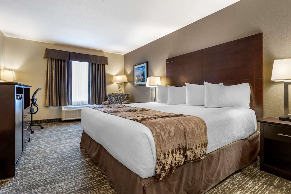 Standard Room, 1 King Bed, Non Smoking, Refrigerator (Pet Friendly) - Photo 1