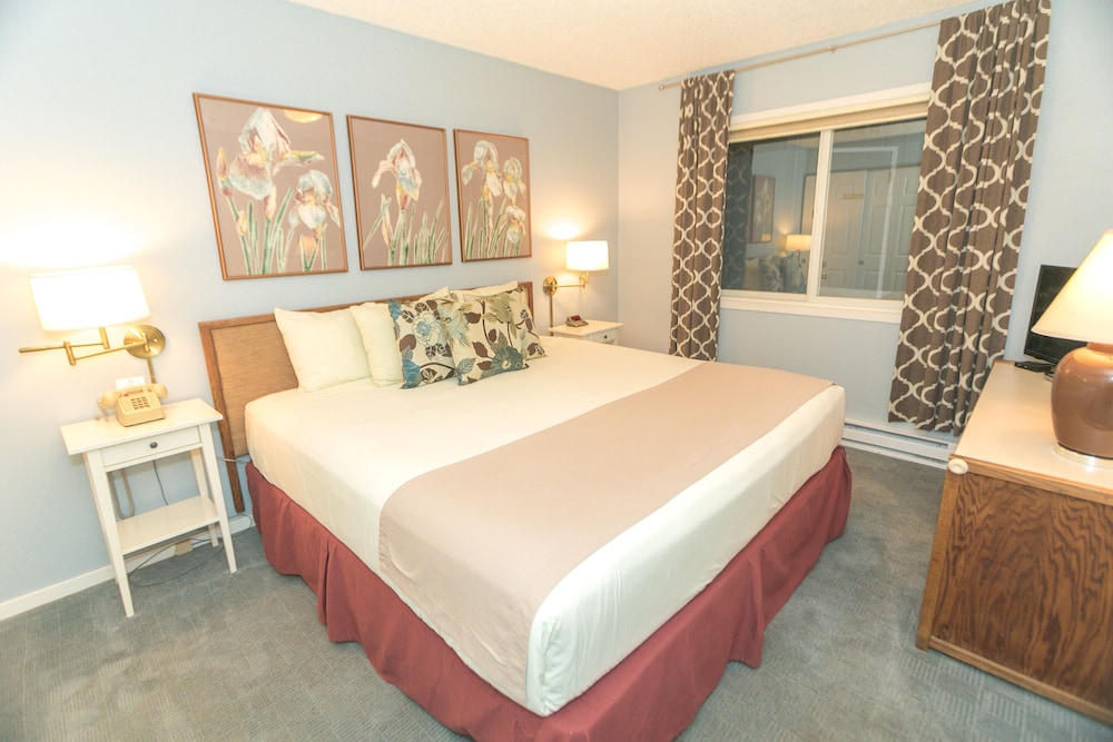 Signature Room, 1 King Bed with Sofa bed, Kitchen, Pool View (1 Bedroom Unit- 110- Pet Friendly) - Photo 1