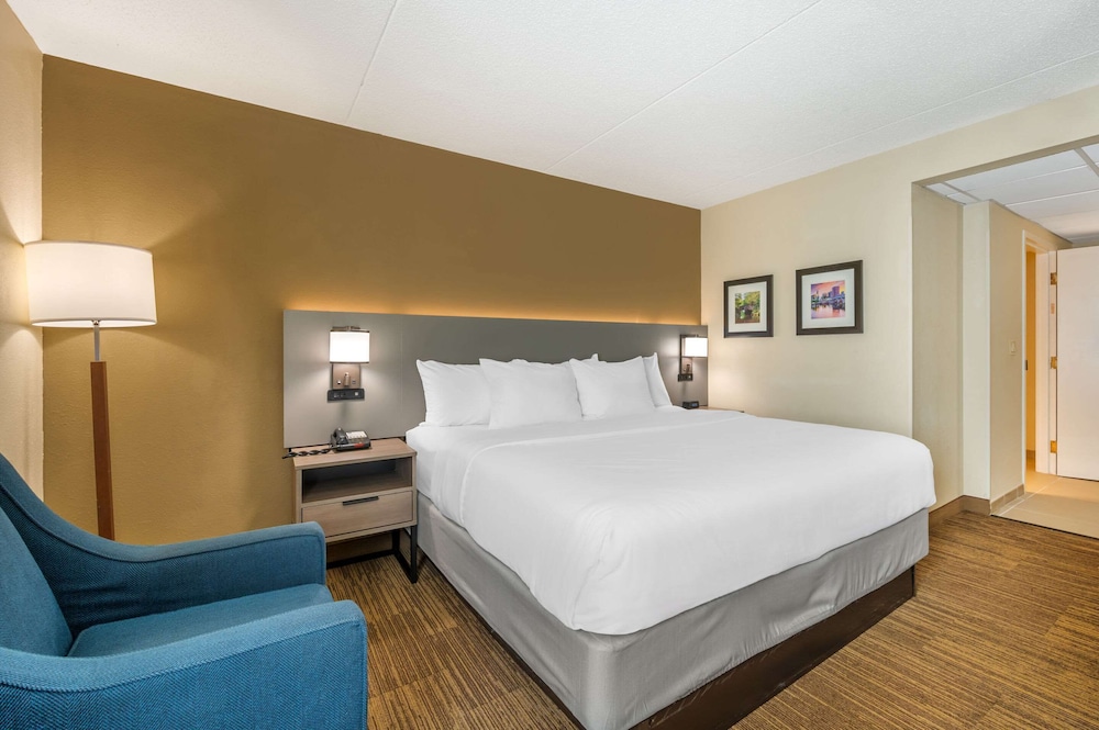 Suite, 1 King Bed with Sofa bed, Accessible, Non Smoking (Efficiency) - Photo 2