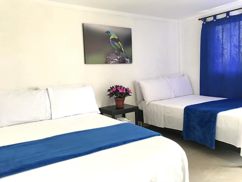 Basic Double Room photo 3