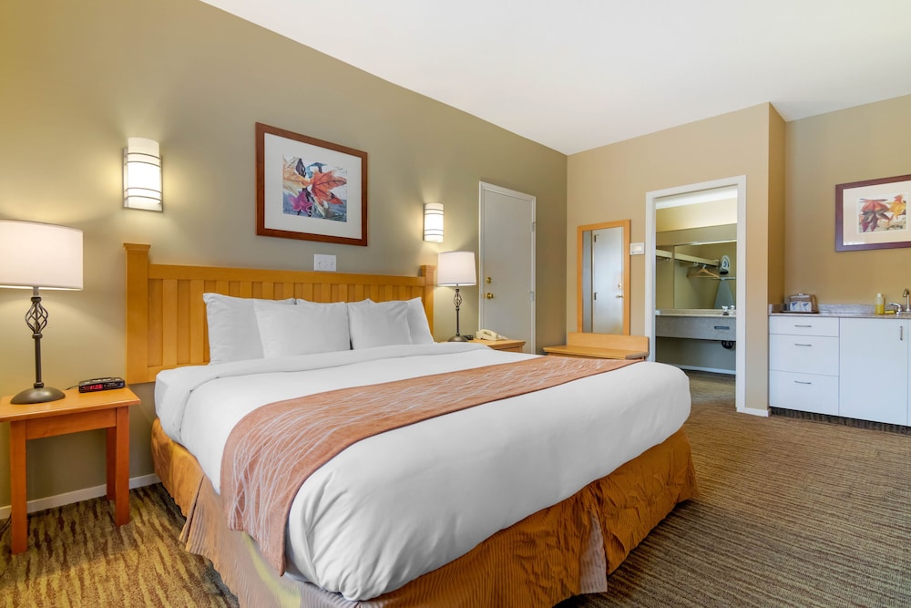 Room, 1 King Bed, Non Smoking (Efficiency) - Photo 6