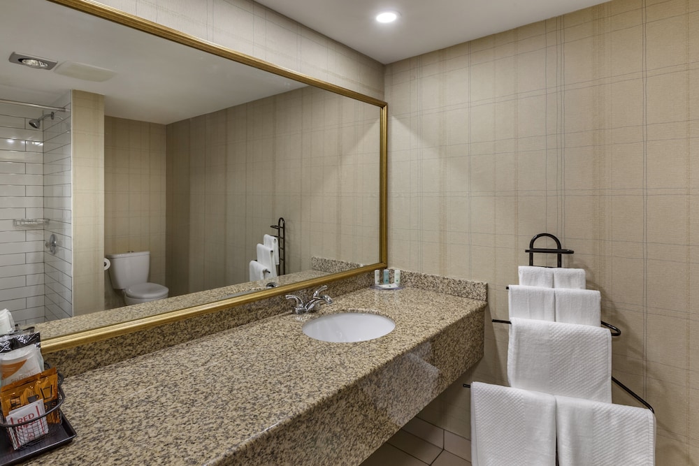Suite, 1 King Bed, Non Smoking (Upgrade) - Photo 14